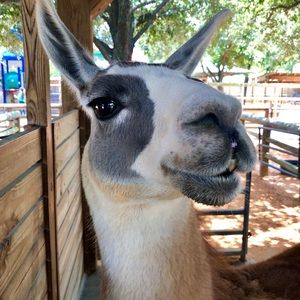 Meet your Posher, Natalia